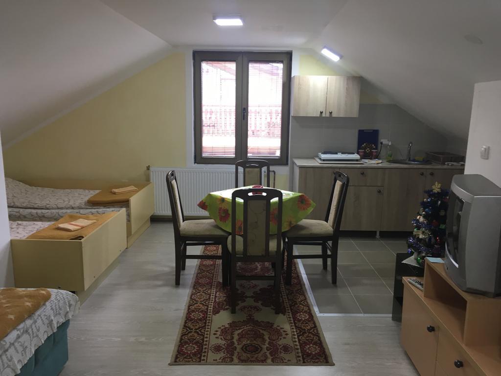 Pansion Velickovic Apartment Niska Banja Luaran gambar