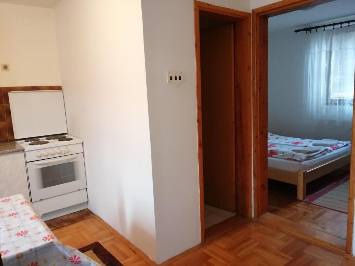 Pansion Velickovic Apartment Niska Banja Luaran gambar